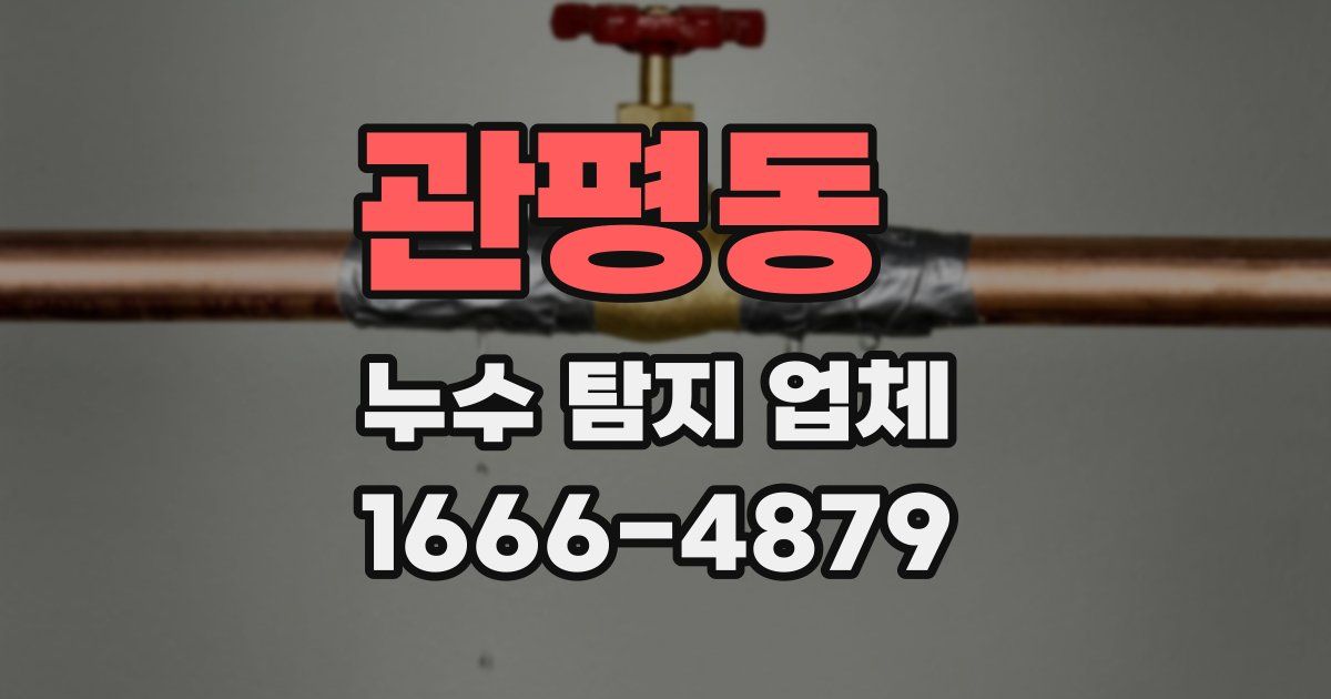 관평동 누수 탐지 업체
