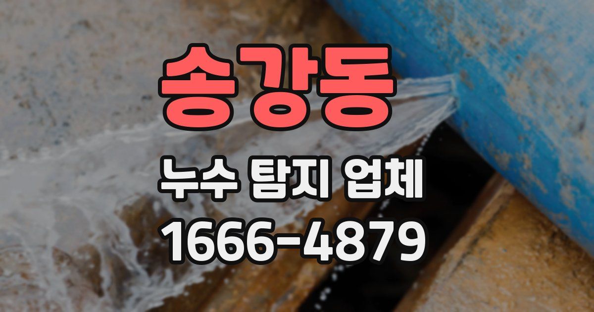 송강동 누수 탐지 업체