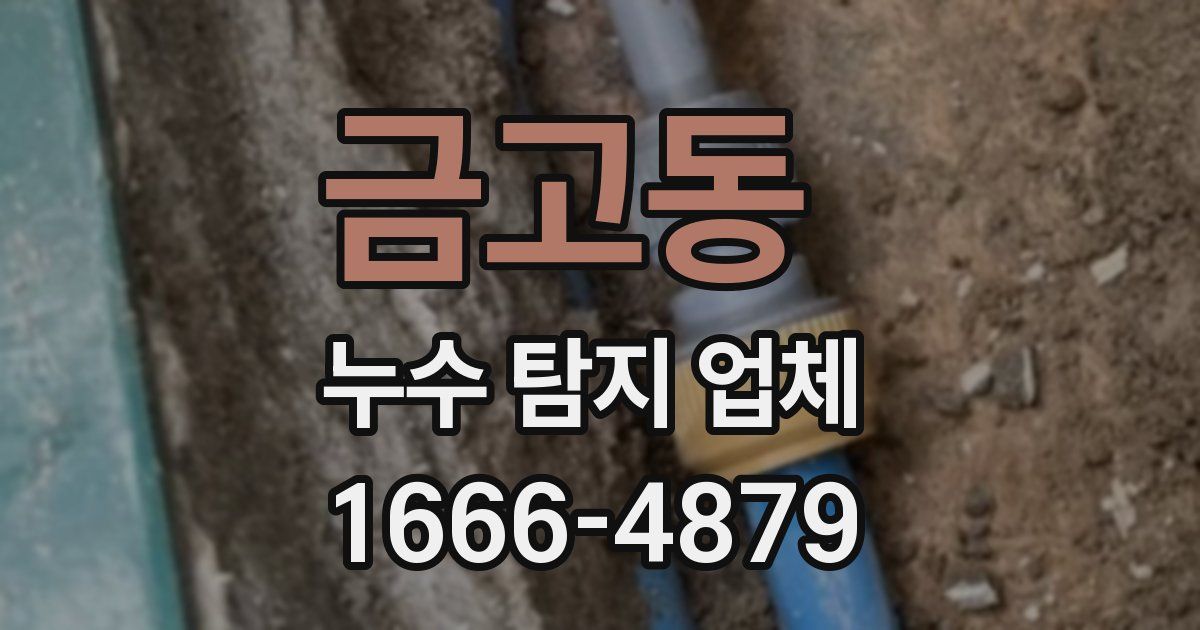 금고동 누수 탐지 업체