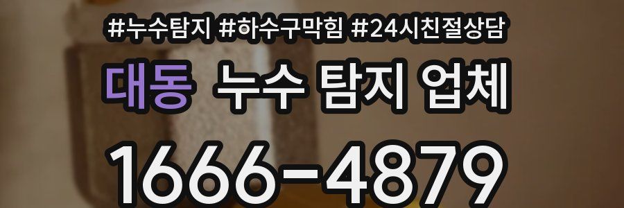 대동 누수 탐지 업체