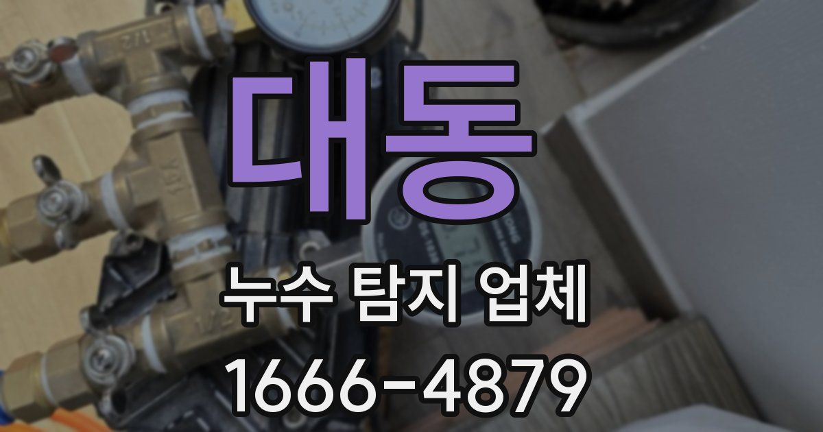 대동 누수 탐지 업체