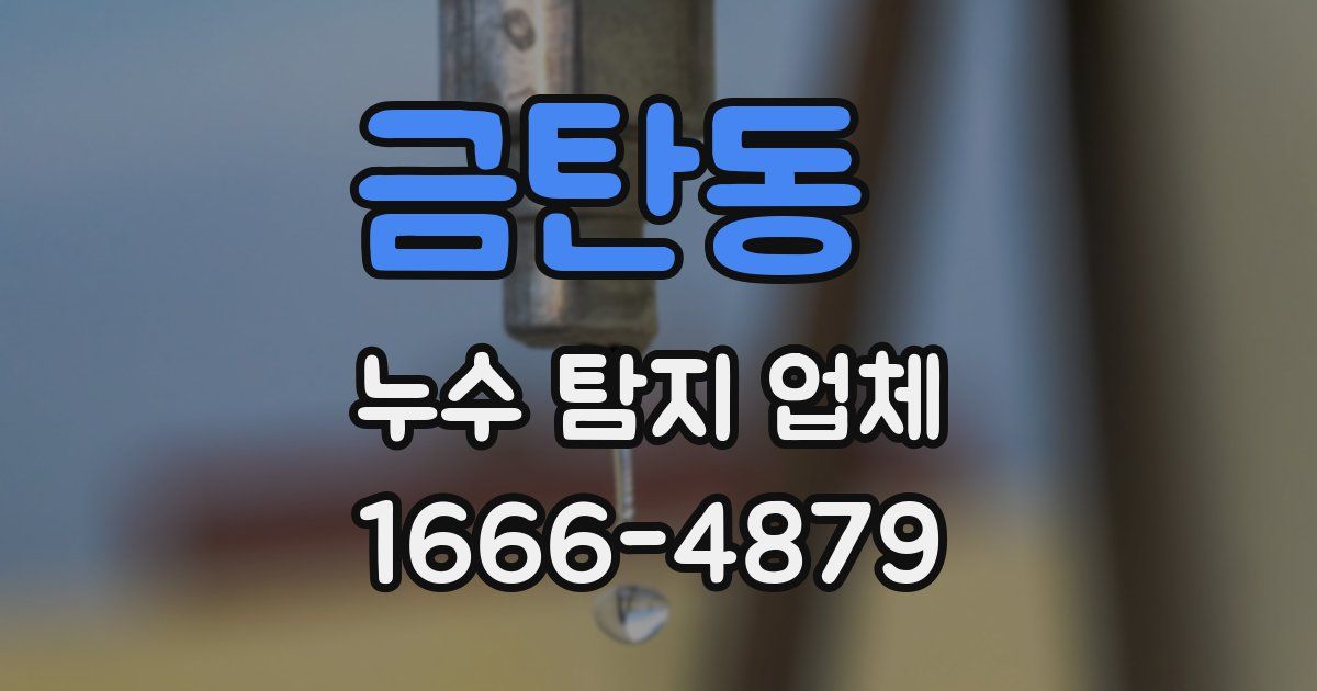 금탄동 누수 탐지 업체