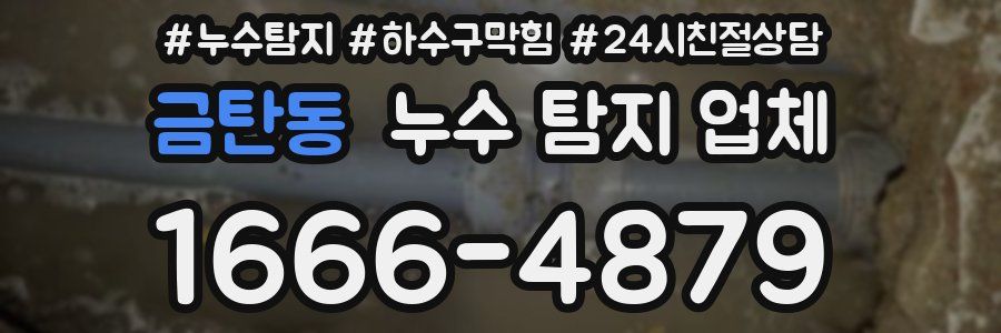금탄동 누수 탐지 업체