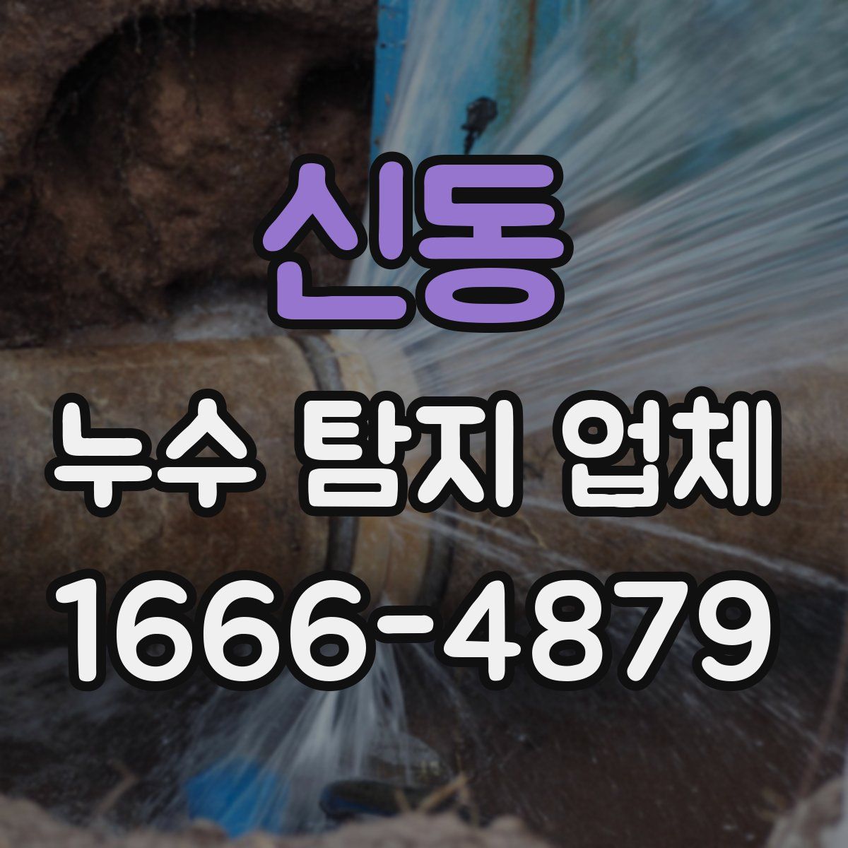 신동 누수 탐지 업체