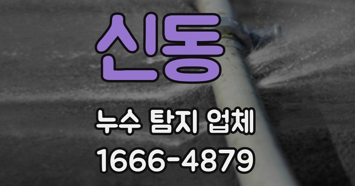 신동 누수 탐지 업체