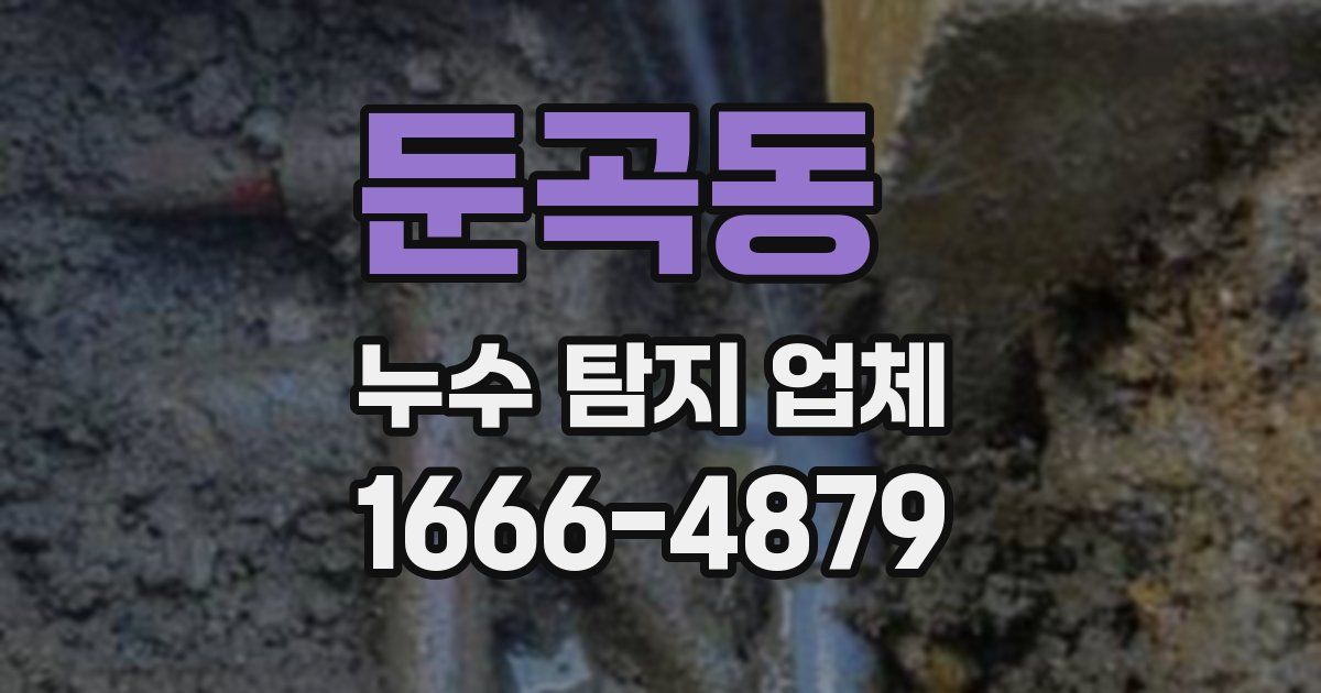 둔곡동 누수 탐지 업체