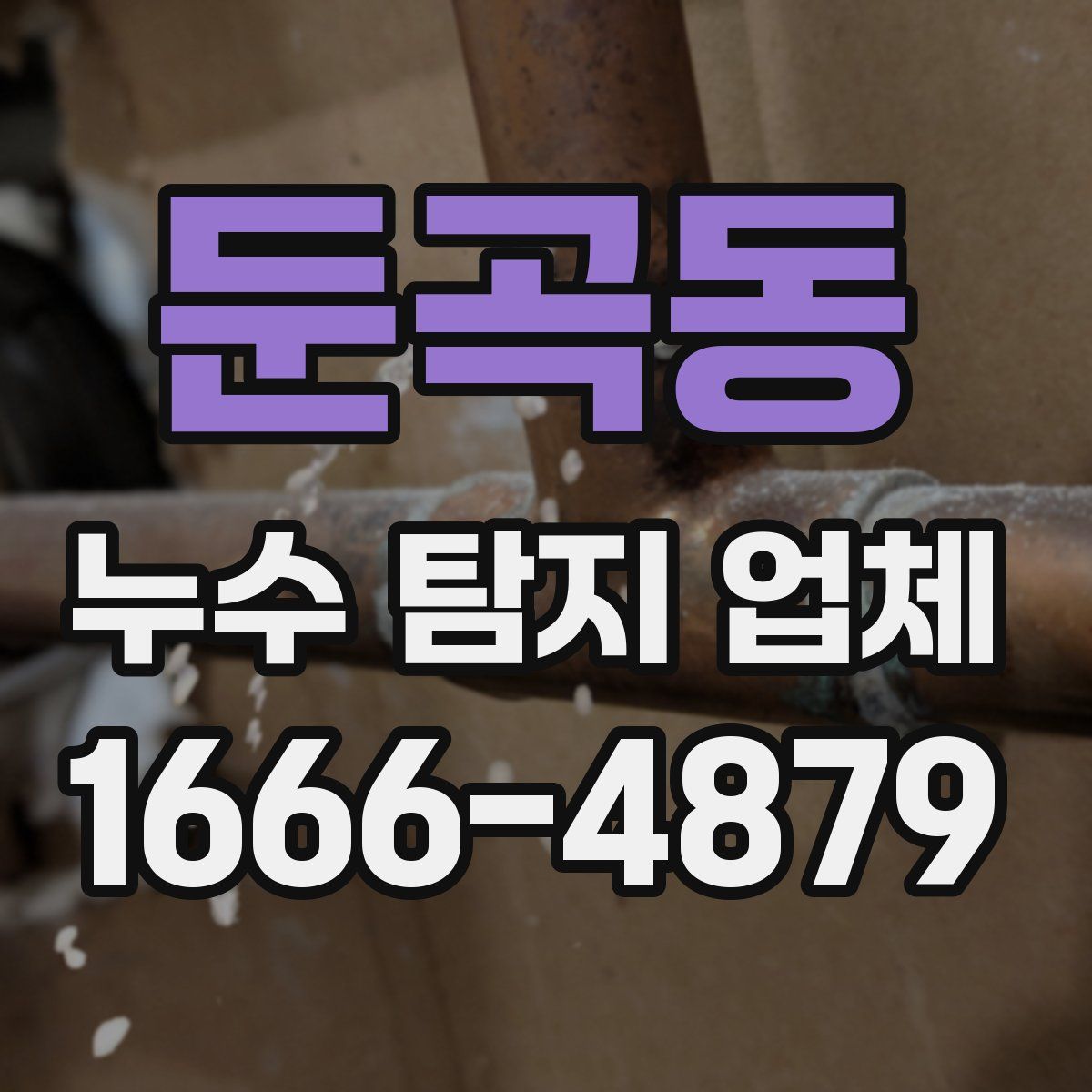 둔곡동 누수 탐지 업체