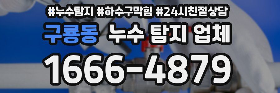 구룡동 누수 탐지 업체