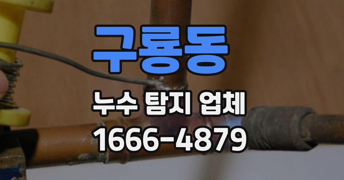 구룡동 누수 탐지 업체