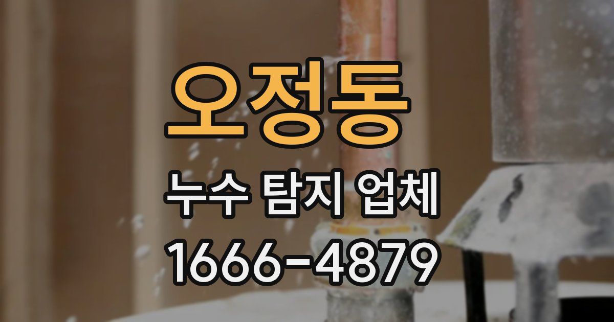 오정동 누수 탐지 업체