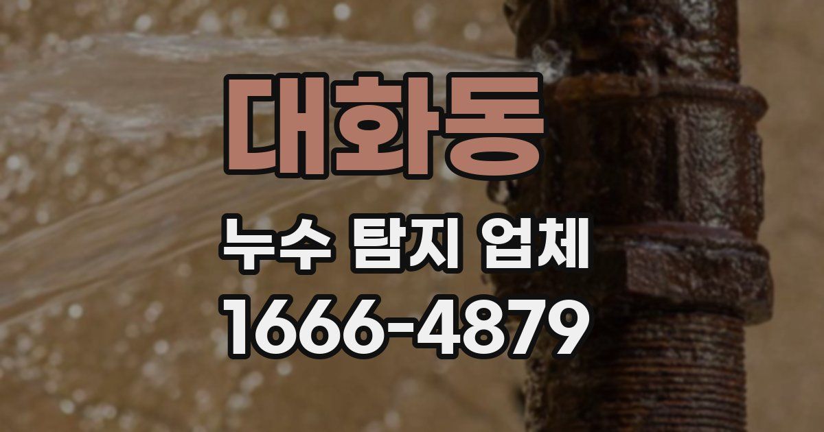 대화동 누수 탐지 업체