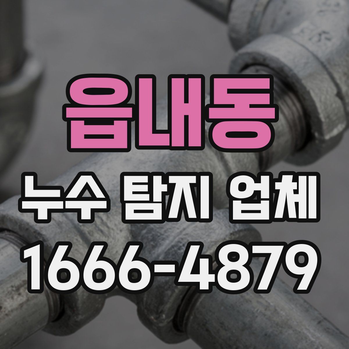 읍내동 누수 탐지 업체