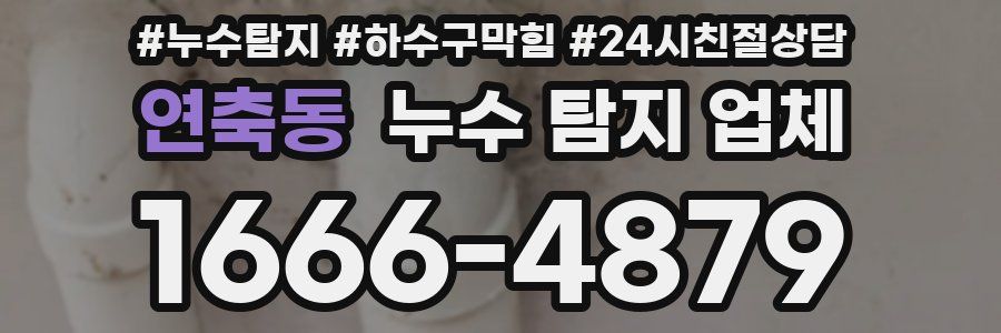 연축동 누수 탐지 업체