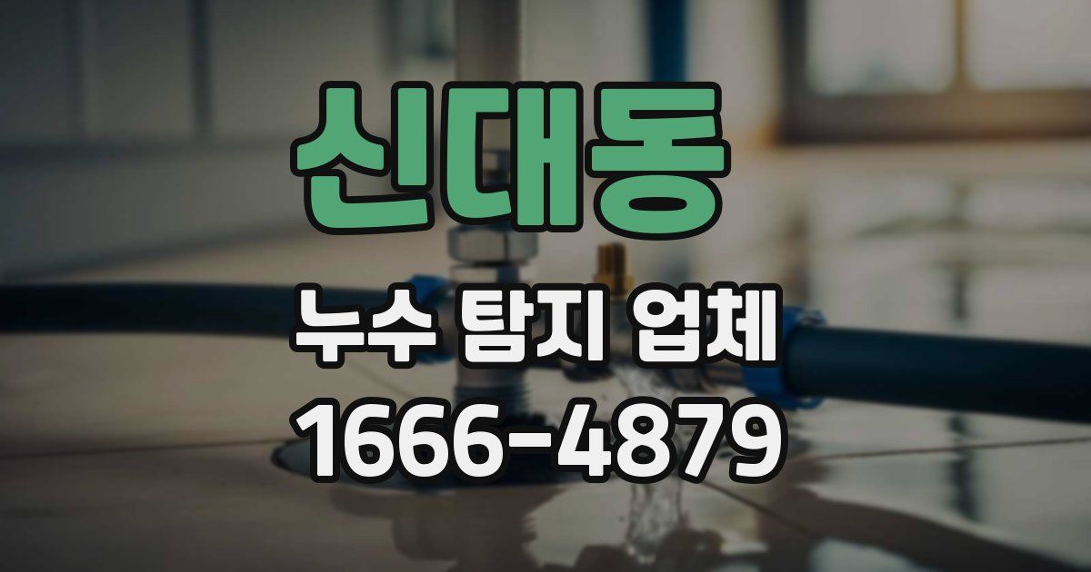 신대동 누수 탐지 업체