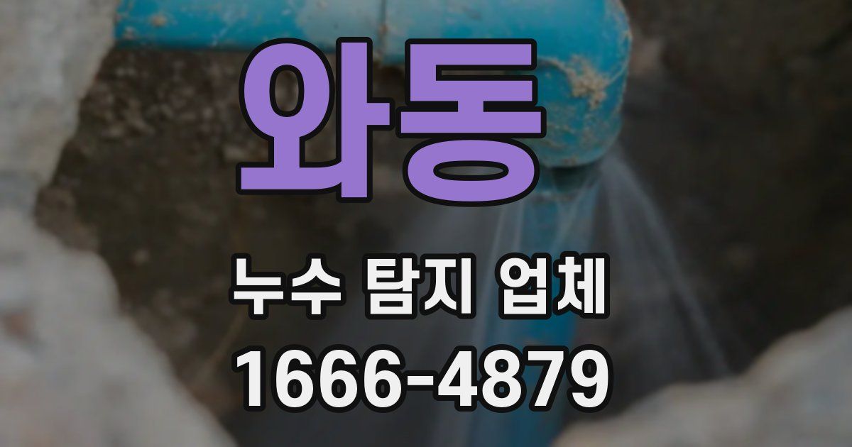 와동 누수 탐지 업체