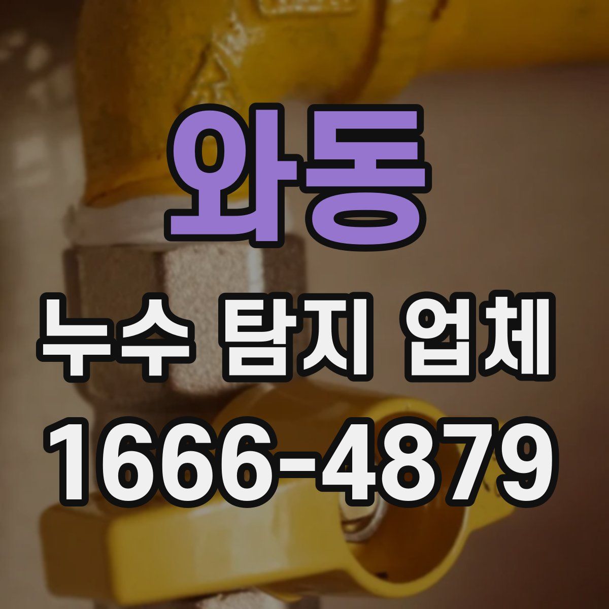와동 누수 탐지 업체