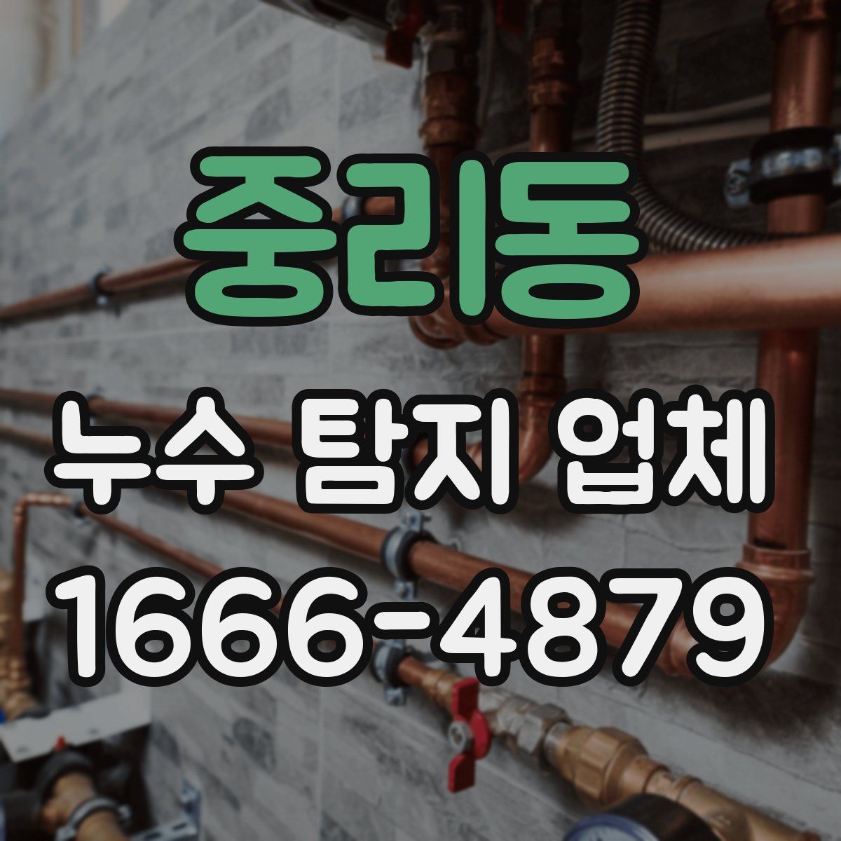중리동 누수 탐지 업체