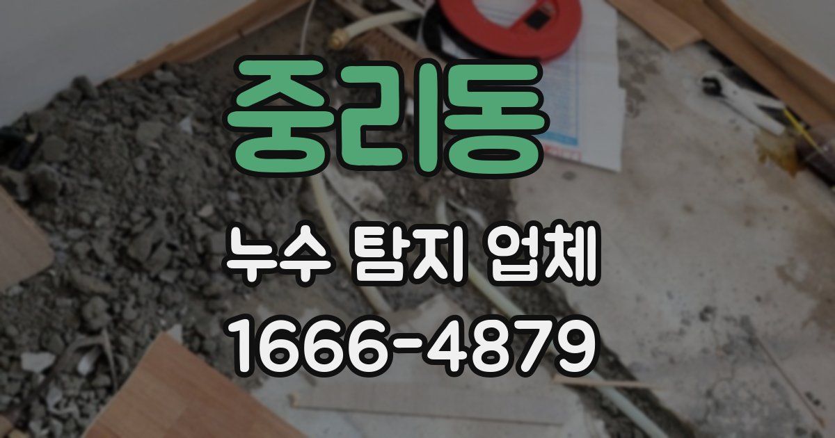 중리동 누수 탐지 업체