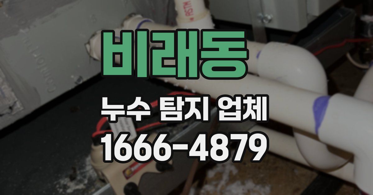 비래동 누수 탐지 업체