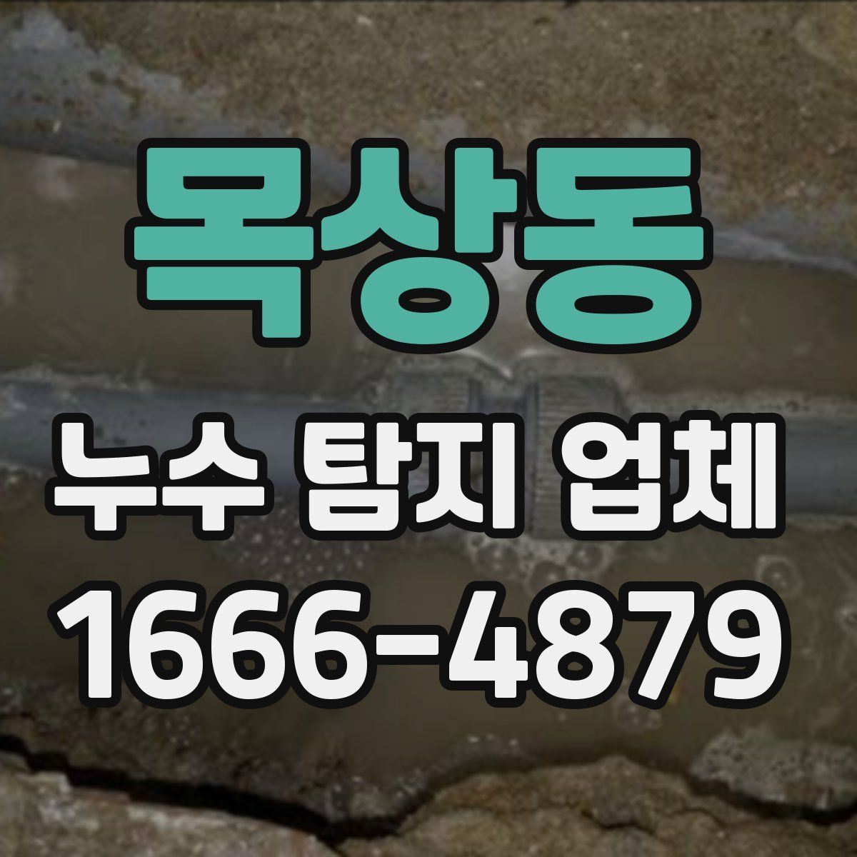 목상동 누수 탐지 업체