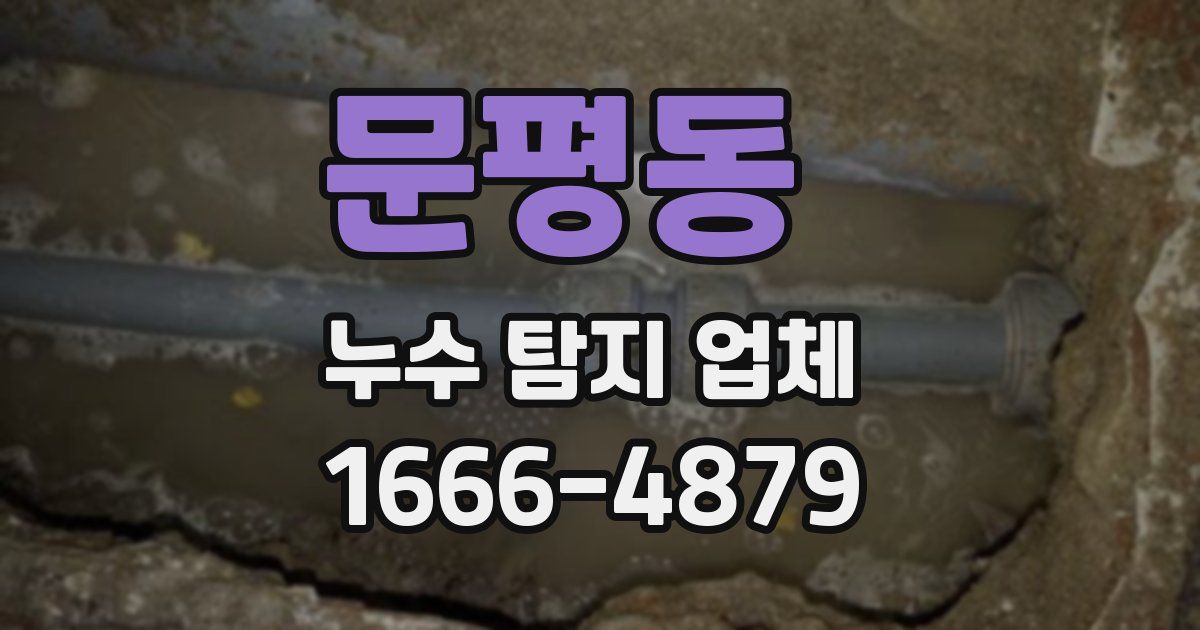 문평동 누수 탐지 업체