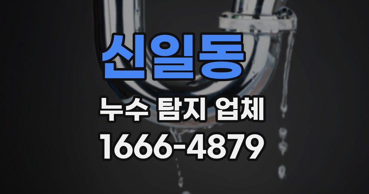 신일동 누수 탐지 업체