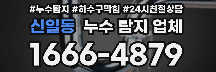 신일동 누수 탐지 업체