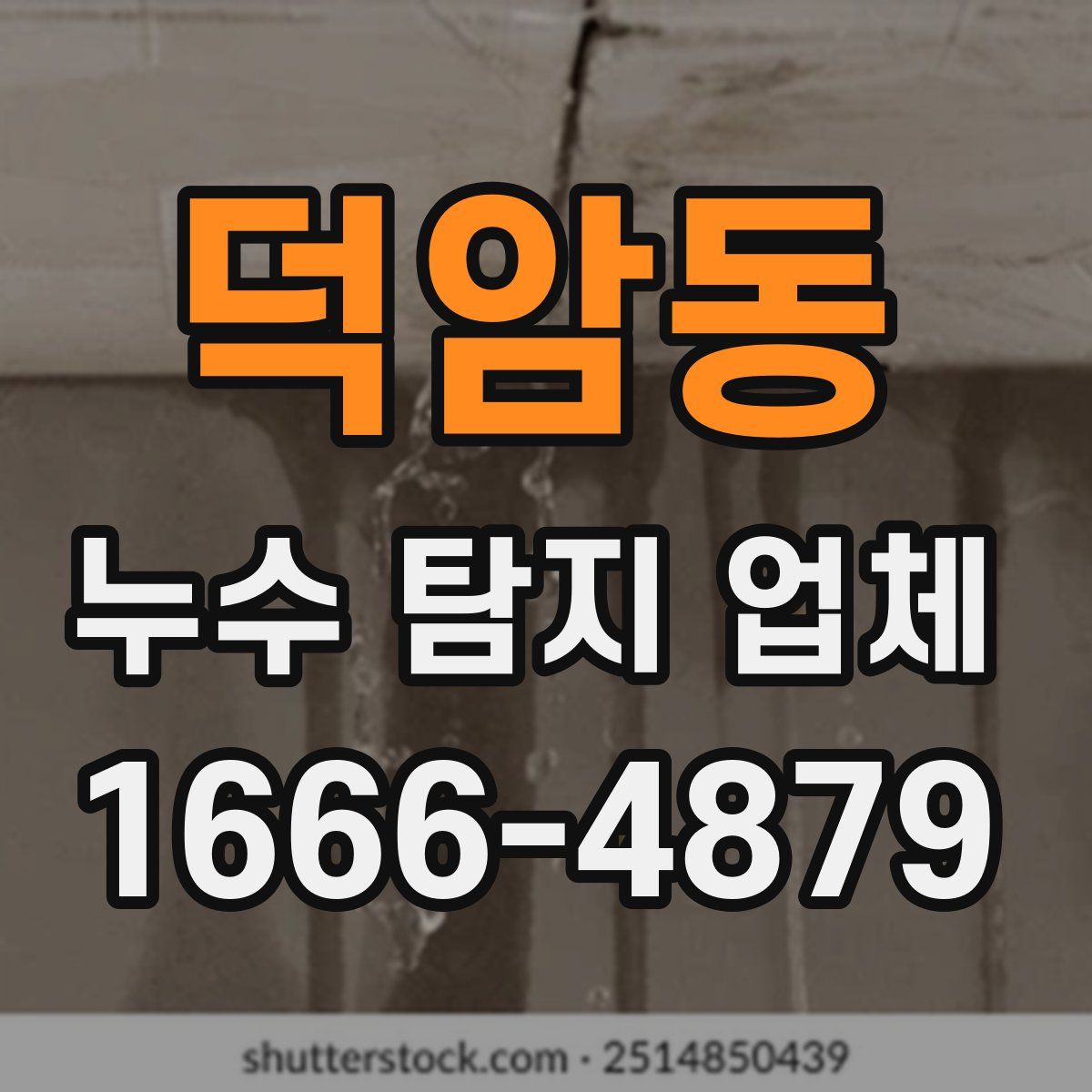 덕암동 누수 탐지 업체