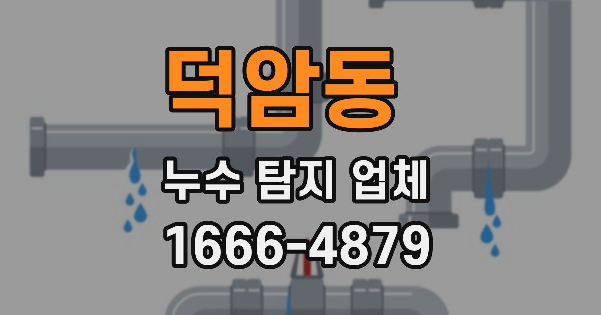 덕암동 누수 탐지 업체