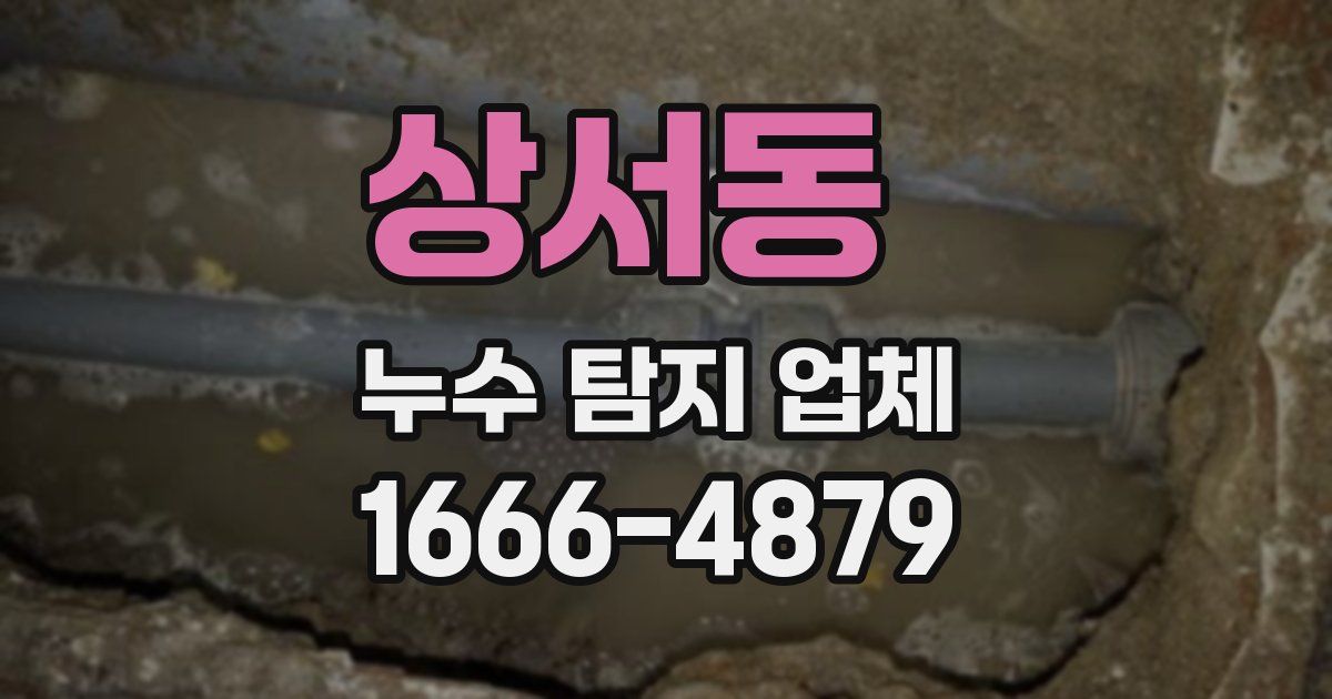 상서동 누수 탐지 업체