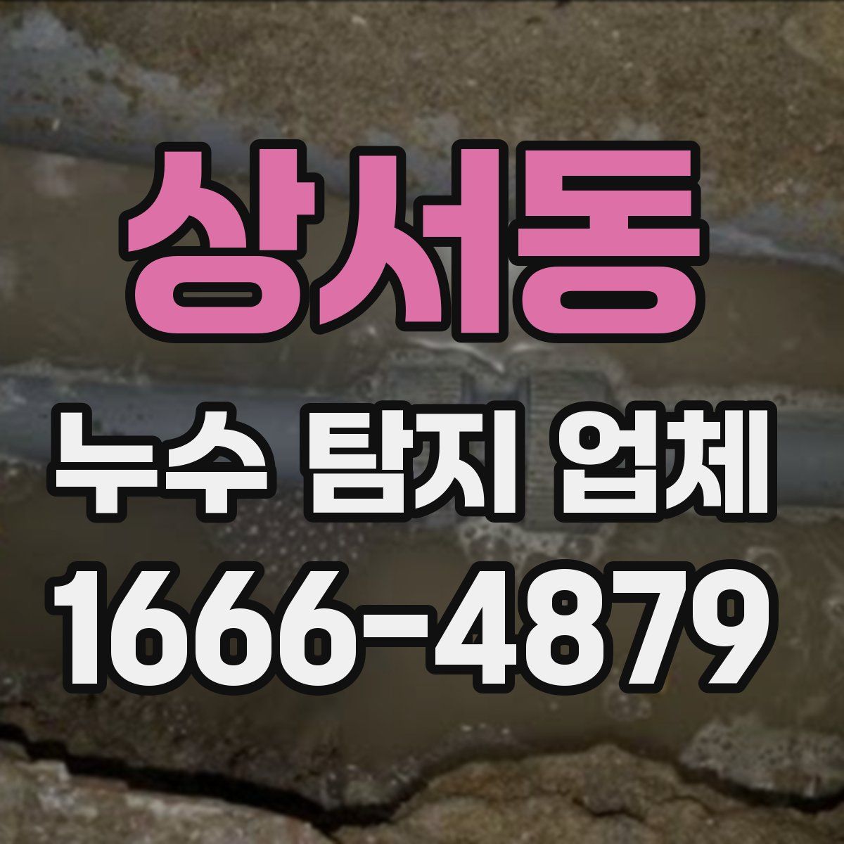 상서동 누수 탐지 업체
