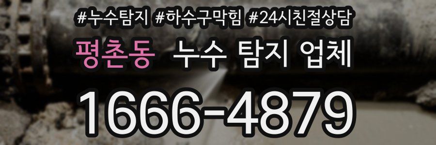평촌동 누수 탐지 업체