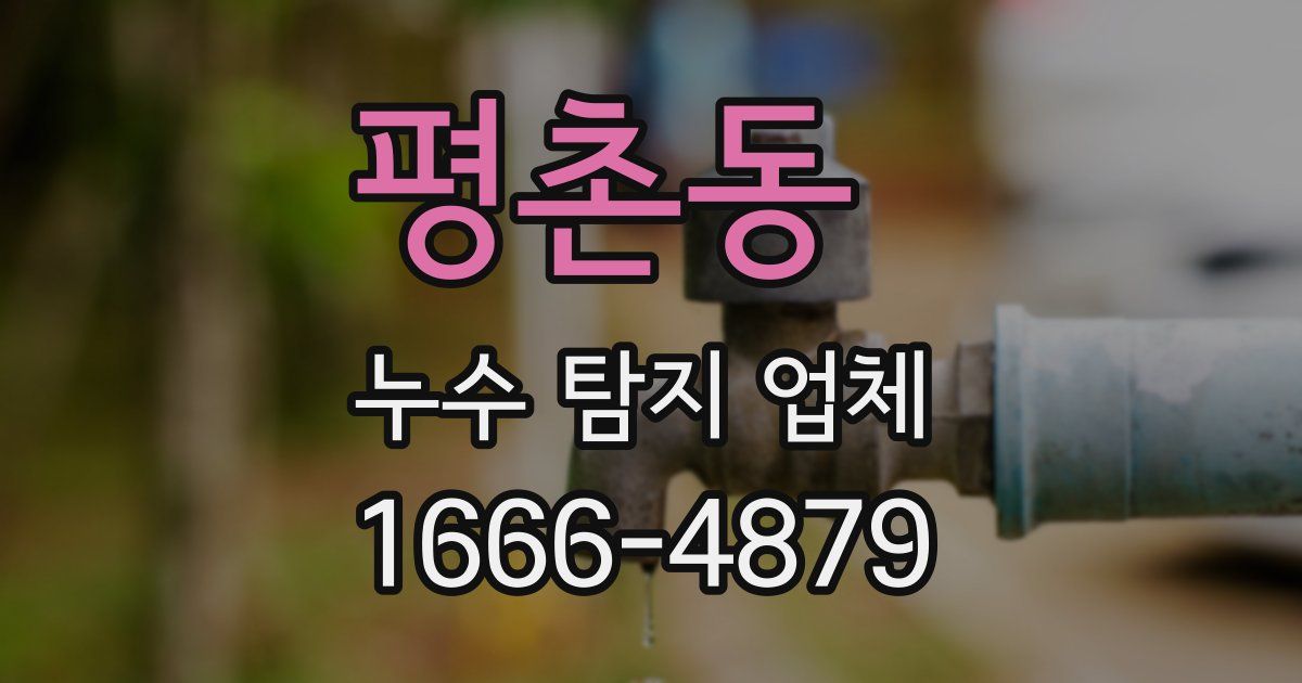 평촌동 누수 탐지 업체