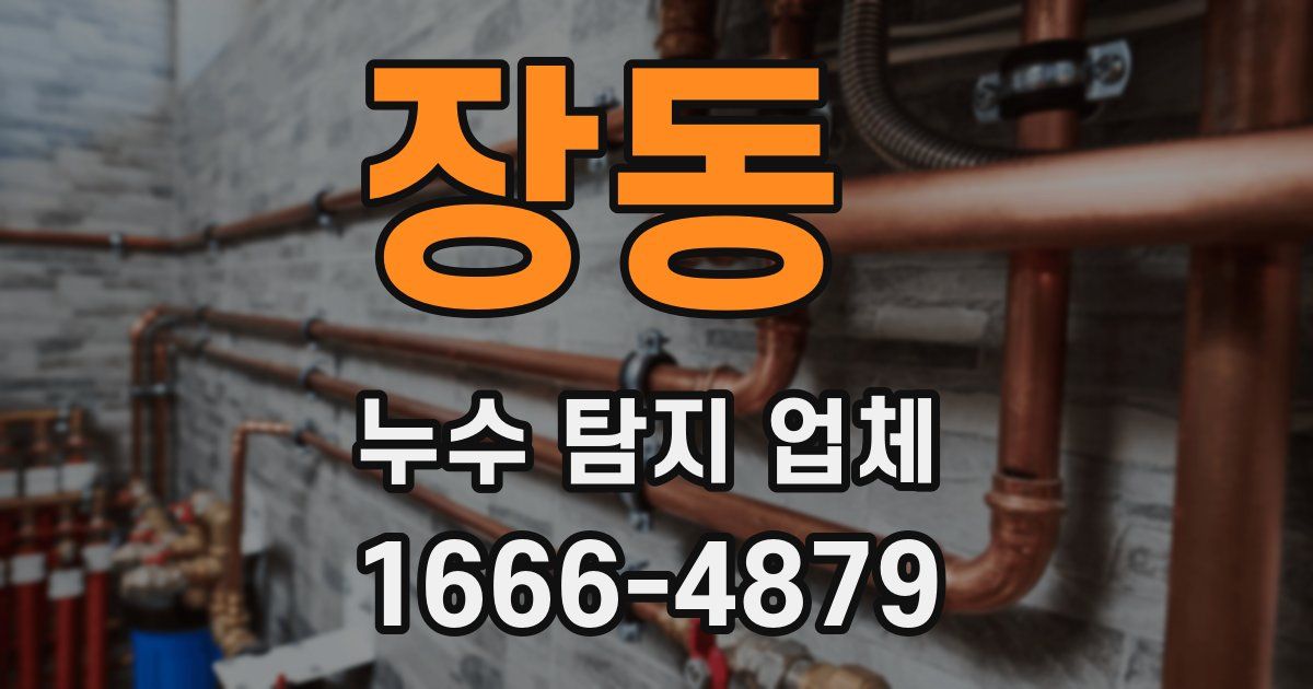 장동 누수 탐지 업체