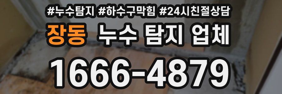 장동 누수 탐지 업체