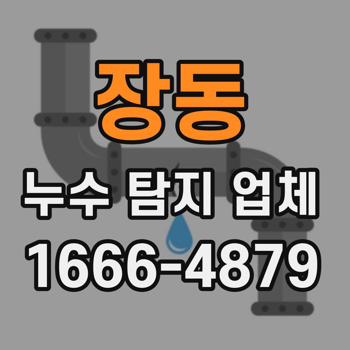 장동 누수 탐지 업체