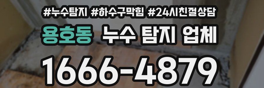 용호동 누수 탐지 업체