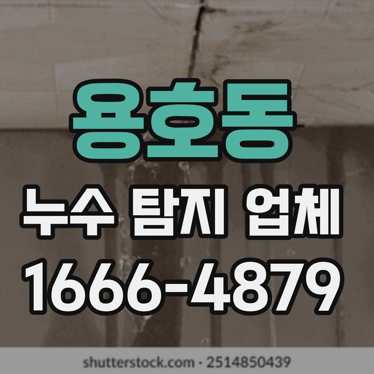 용호동 누수 탐지 업체