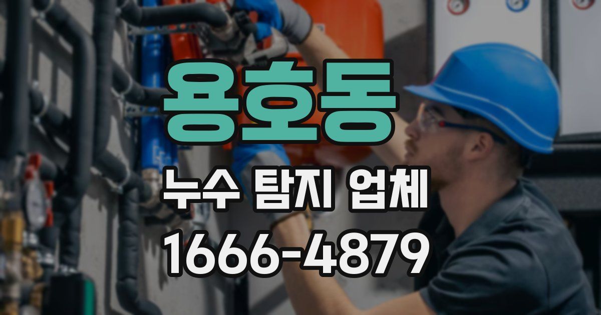 용호동 누수 탐지 업체