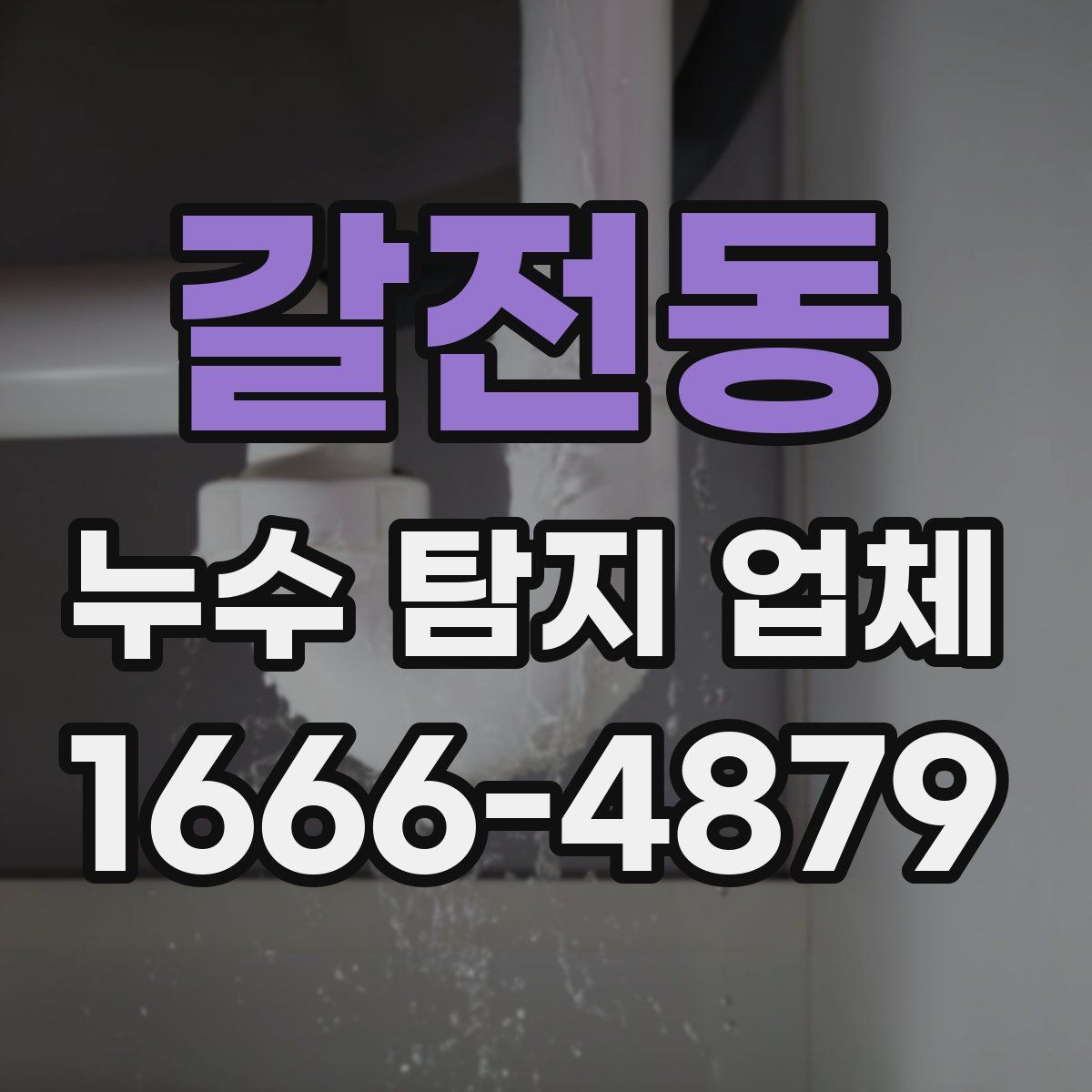 갈전동 누수 탐지 업체