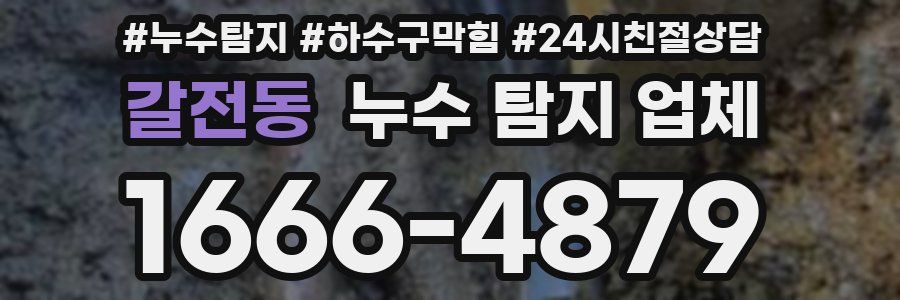 갈전동 누수 탐지 업체