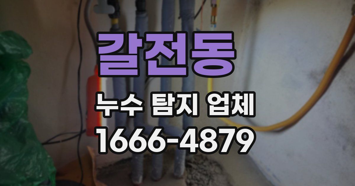갈전동 누수 탐지 업체