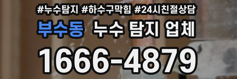 부수동 누수 탐지 업체