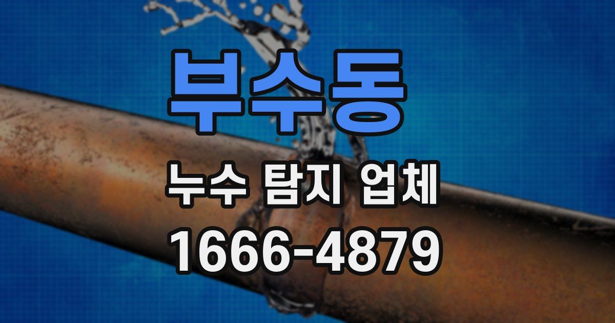 부수동 누수 탐지 업체