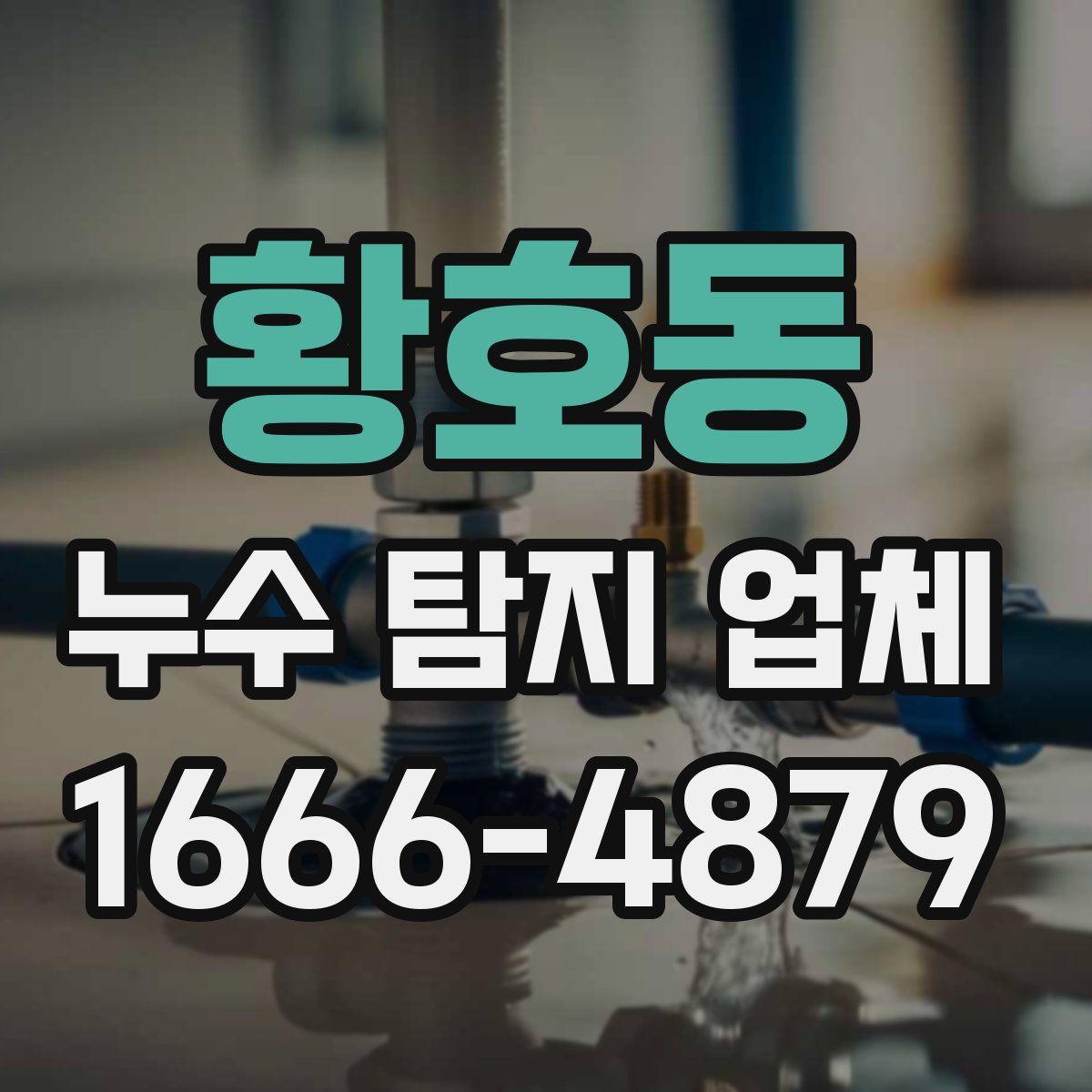 황호동 누수 탐지 업체