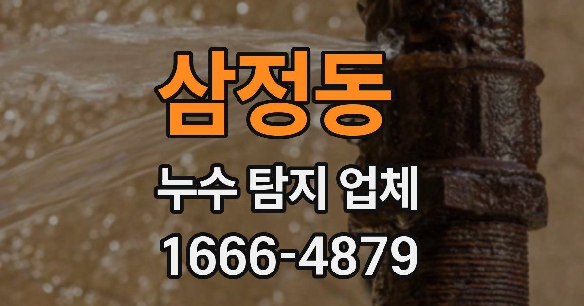 삼정동 누수 탐지 업체