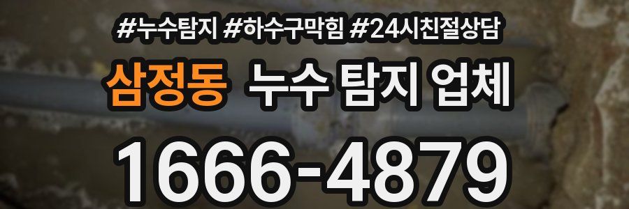 삼정동 누수 탐지 업체
