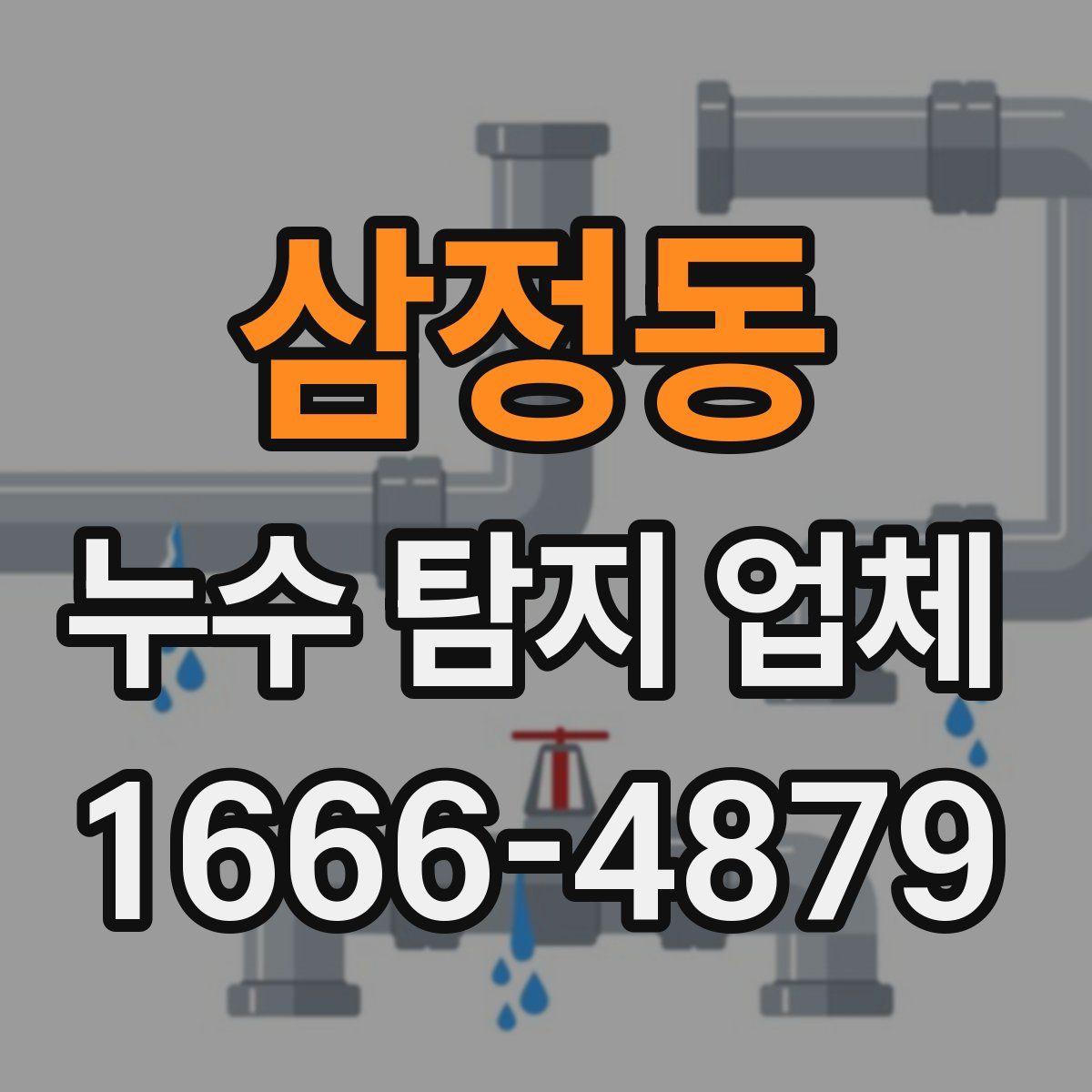 삼정동 누수 탐지 업체