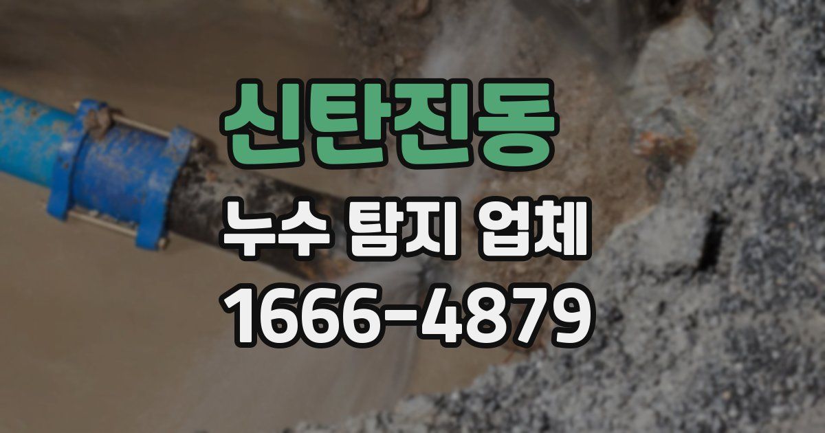 신탄진동 누수 탐지 업체