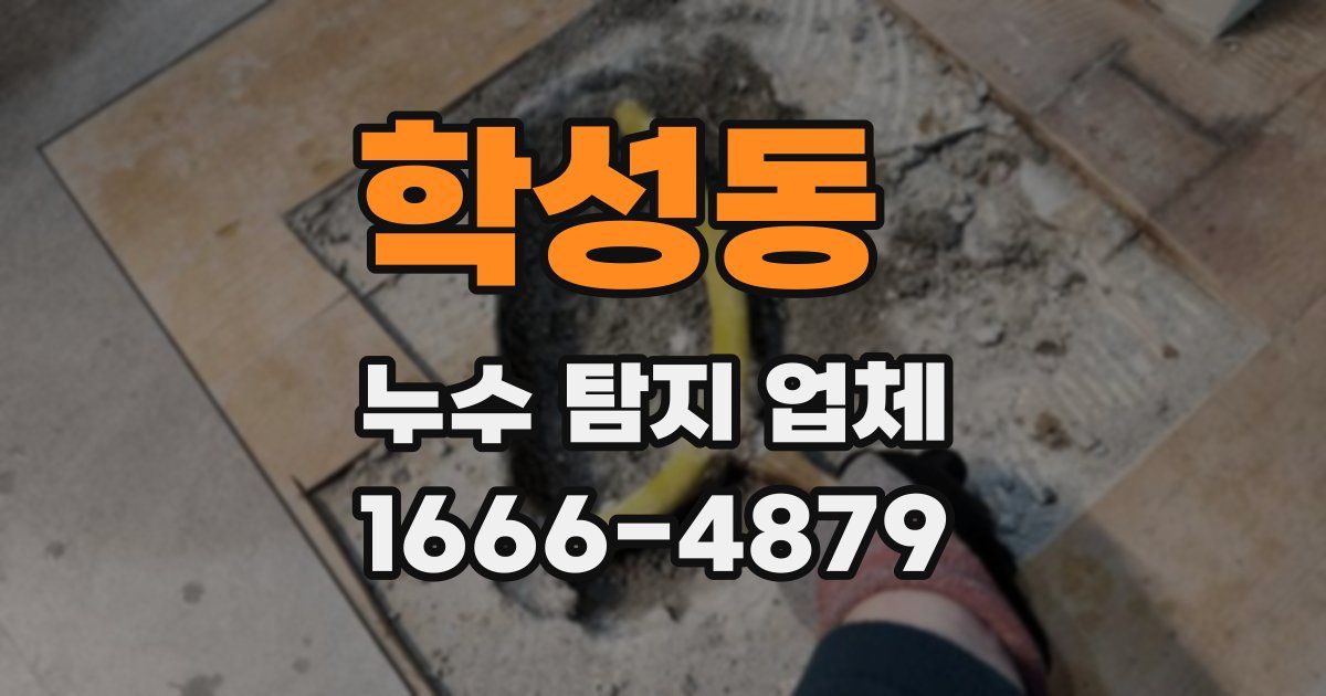 학성동 누수 탐지 업체